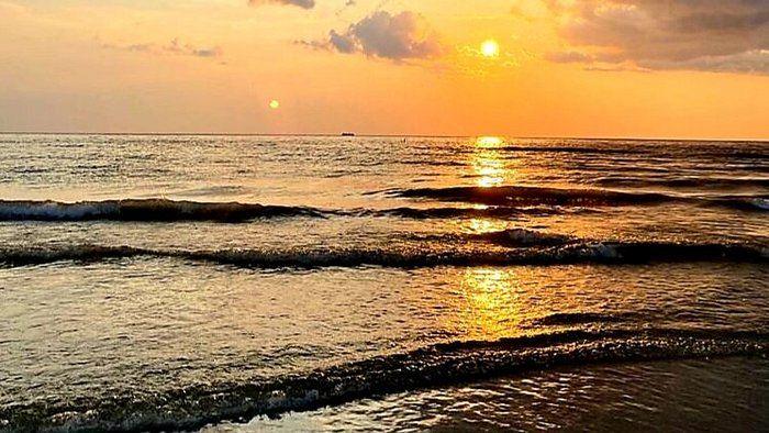Fort De Soto Nature Day